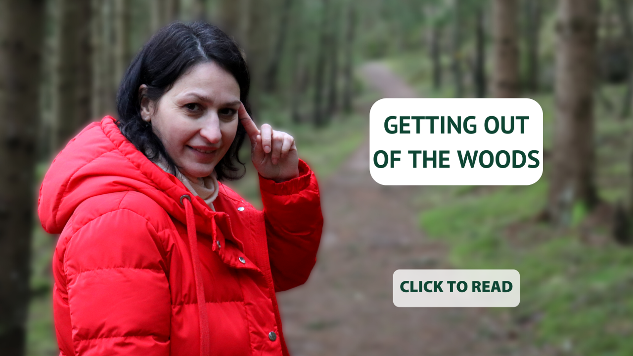 Florina Lungu - Getting out of the woods